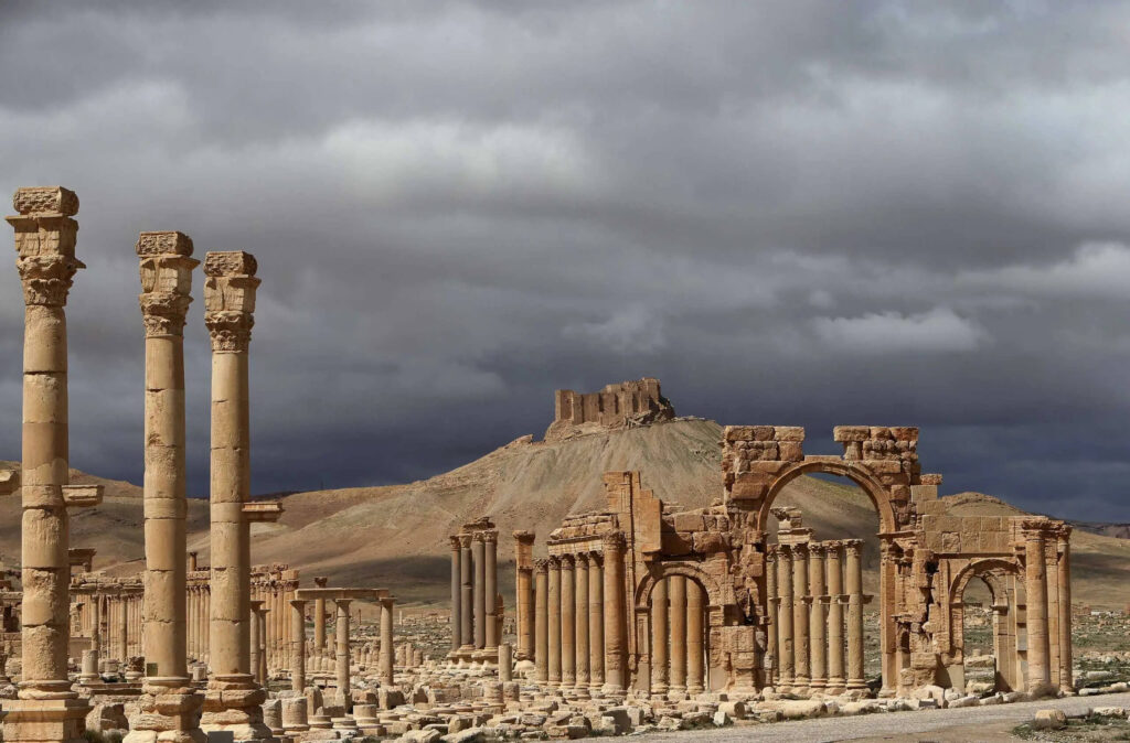 palmyra