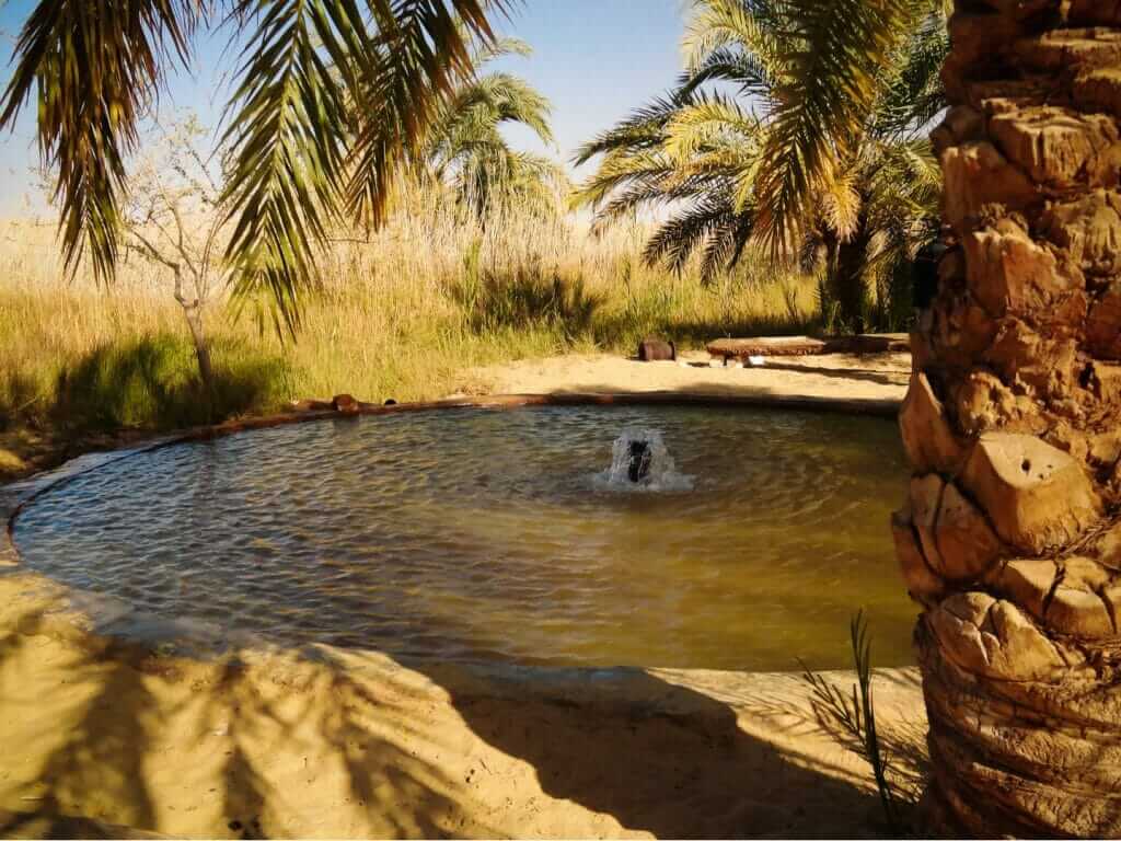 Siwa Oasis Egypt