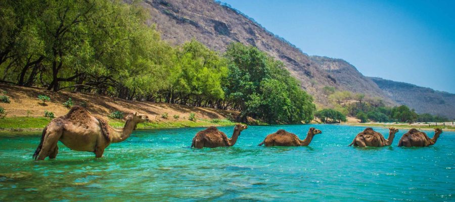 Salalah, Oman